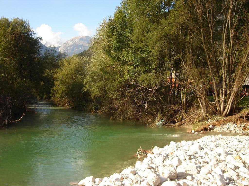 Cesar * Bohinj