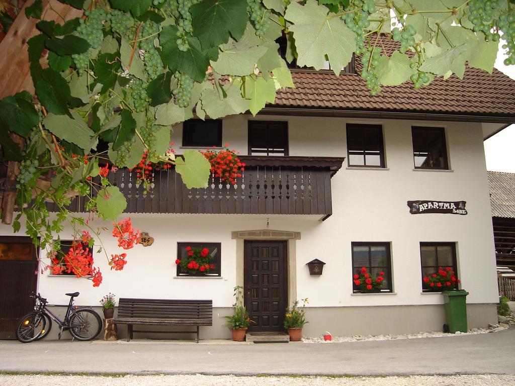 Cesar Apartament Bohinj