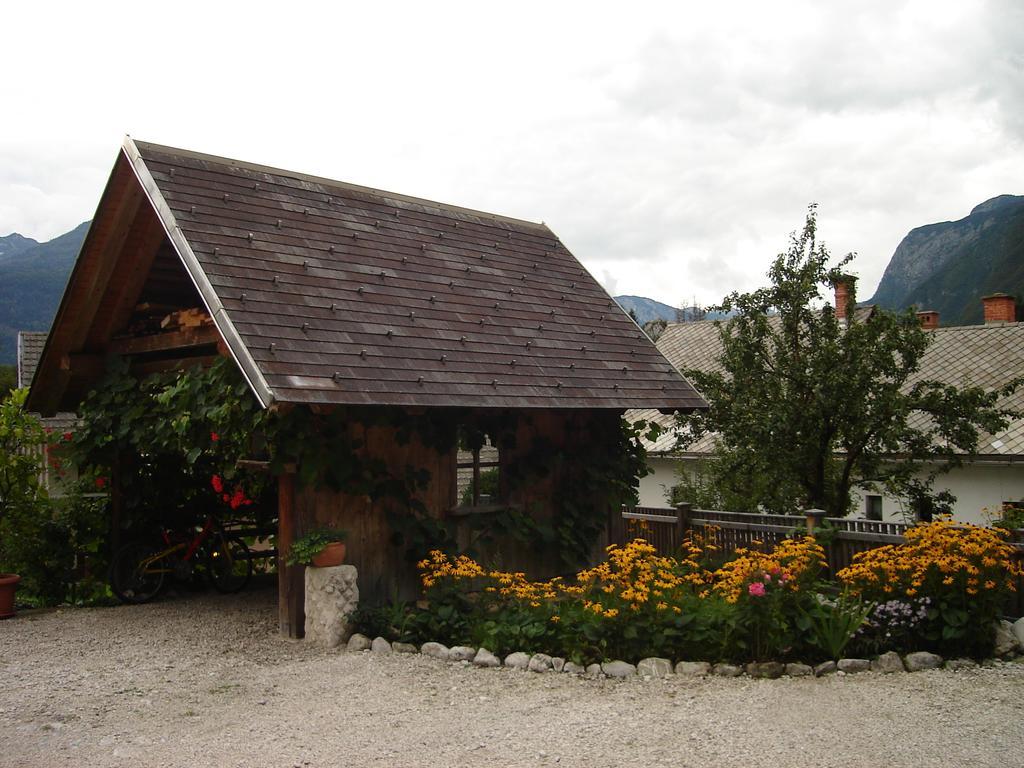 Cesar Apartmán