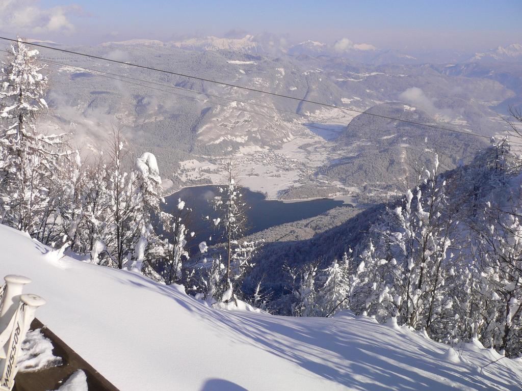 Cesar * Bohinj